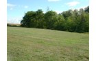 Property photo 13 - 408 Acres of Prime Ohio Farmland - Offered in 8 Tracts