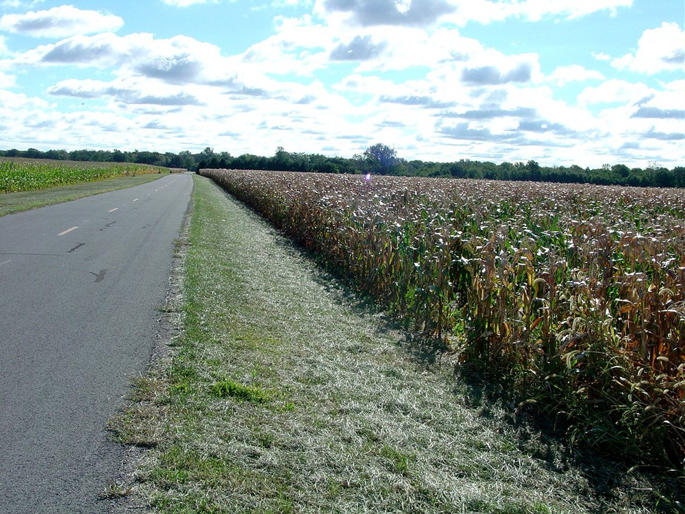 Property photo 68 - 408 Acres of Prime Ohio Farmland - Offered in 8 Tracts