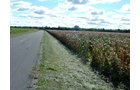 Property photo 68 - 408 Acres of Prime Ohio Farmland - Offered in 8 Tracts