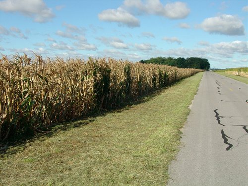 Property photo 78 - 408 Acres of Prime Ohio Farmland - Offered in 8 Tracts