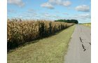 Property photo 78 - 408 Acres of Prime Ohio Farmland - Offered in 8 Tracts