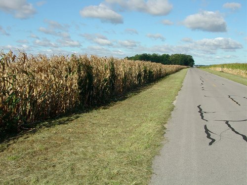 Property photo 16 - 408 Acres of Prime Ohio Farmland - Offered in 8 Tracts