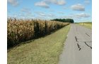 Property photo 16 - 408 Acres of Prime Ohio Farmland - Offered in 8 Tracts