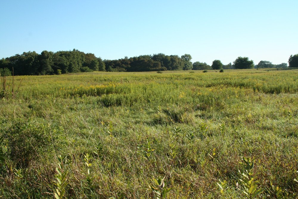 Property photo 26 - 77  Acres offered in 3 Tracts