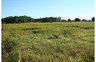 Property photo 26 - 77  Acres offered in 3 Tracts