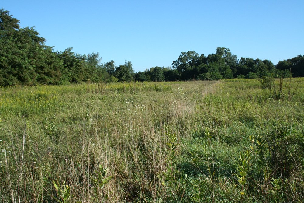 Property photo 49 - 77  Acres offered in 3 Tracts