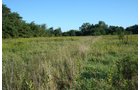 Property photo 49 - 77  Acres offered in 3 Tracts