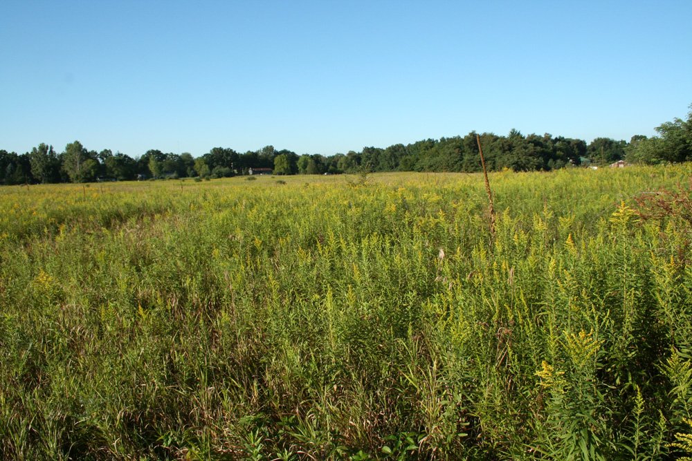 Property photo 12 - 77  Acres offered in 3 Tracts