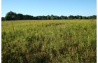Property photo 40 - 77  Acres offered in 3 Tracts
