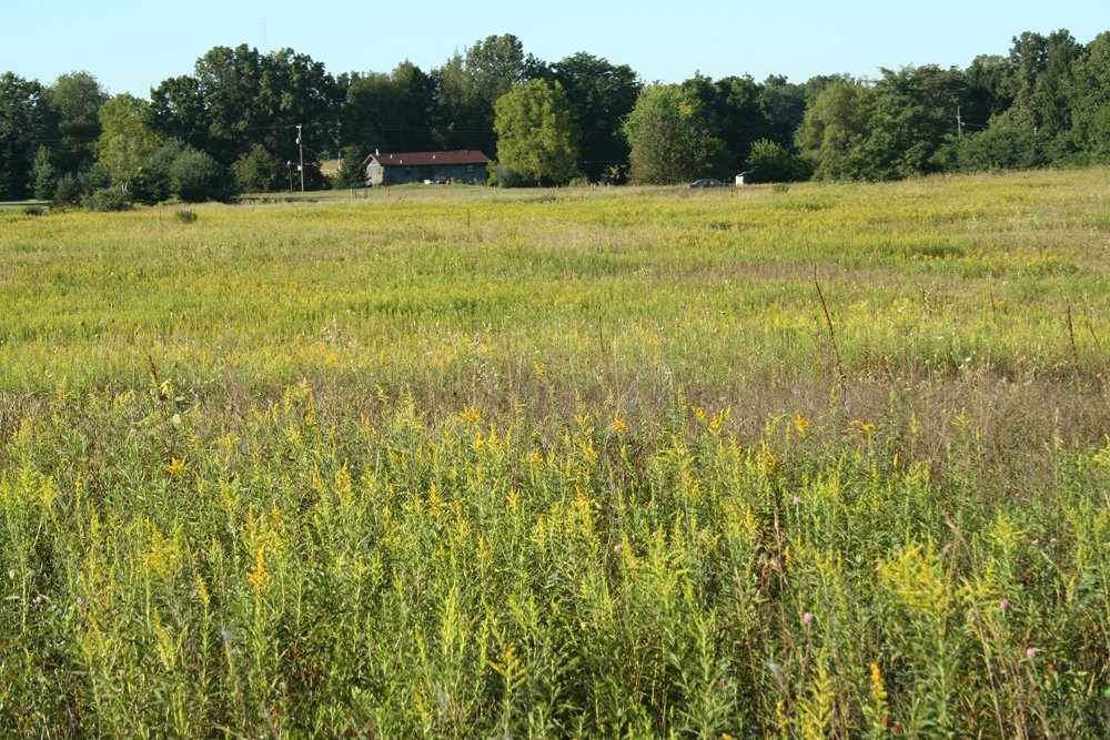 Property photo 45 - 77  Acres offered in 3 Tracts