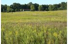 Property photo 45 - 77  Acres offered in 3 Tracts