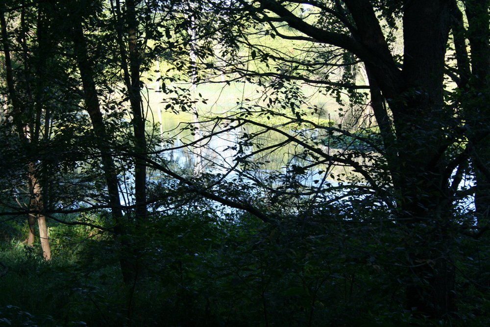Property photo 28 - 77  Acres offered in 3 Tracts