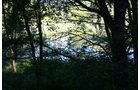 Property photo 28 - 77  Acres offered in 3 Tracts