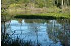 Property photo 39 - 77  Acres offered in 3 Tracts