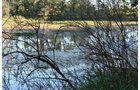 Property photo 7 - 77  Acres offered in 3 Tracts
