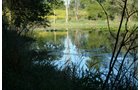 Property photo 24 - 77  Acres offered in 3 Tracts