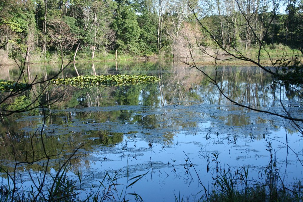 Property photo 23 - 77  Acres offered in 3 Tracts