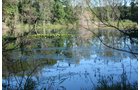 Property photo 23 - 77  Acres offered in 3 Tracts