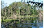 Property photo 36 - 77  Acres offered in 3 Tracts