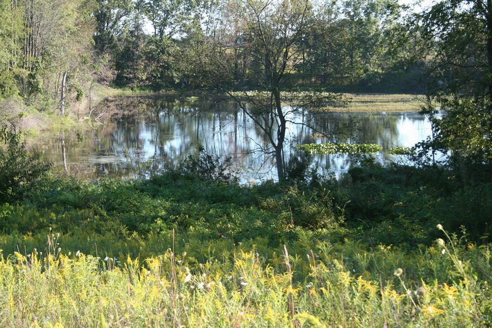 Property photo 11 - 77  Acres offered in 3 Tracts
