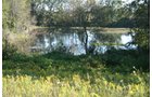 Property photo 11 - 77  Acres offered in 3 Tracts