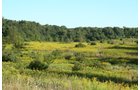 Property photo 14 - 77  Acres offered in 3 Tracts