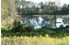 Property photo 13 - 77  Acres offered in 3 Tracts