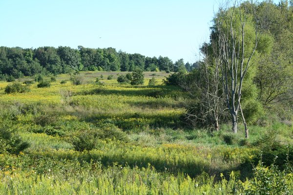 77  Acres offered in 3 Tracts