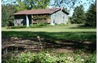 Property photo 10 - 77  Acres offered in 3 Tracts