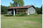 Property photo 48 - 77  Acres offered in 3 Tracts