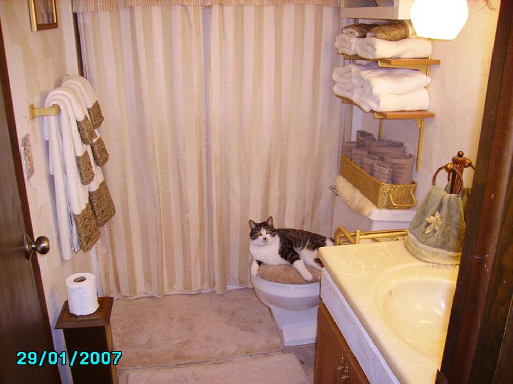 Property photo 15 - 77  Acres offered in 3 Tracts