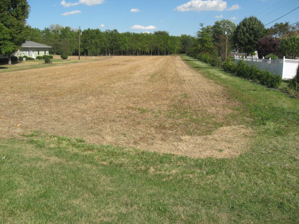 Property photo 13 - Real Estate Auction, 3 BEDROOM, 1 BATH, FULL BASEMENT, 1.2 ACRE LOT PLUS 1.4 ACRE ADDITIONAL LOT