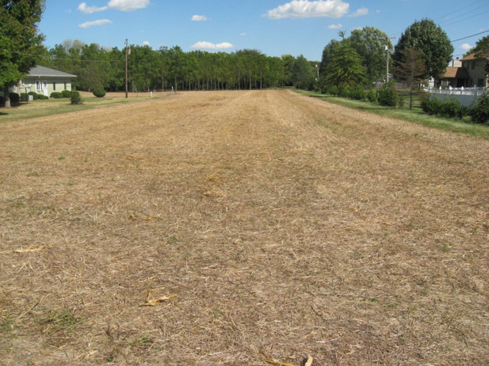 Property photo 9 - Real Estate Auction, 3 BEDROOM, 1 BATH, FULL BASEMENT, 1.2 ACRE LOT PLUS 1.4 ACRE ADDITIONAL LOT