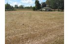 Property photo 1 - Real Estate Auction, 3 BEDROOM, 1 BATH, FULL BASEMENT, 1.2 ACRE LOT PLUS 1.4 ACRE ADDITIONAL LOT
