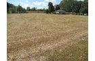 Property photo 5 - Real Estate Auction, 3 BEDROOM, 1 BATH, FULL BASEMENT, 1.2 ACRE LOT PLUS 1.4 ACRE ADDITIONAL LOT