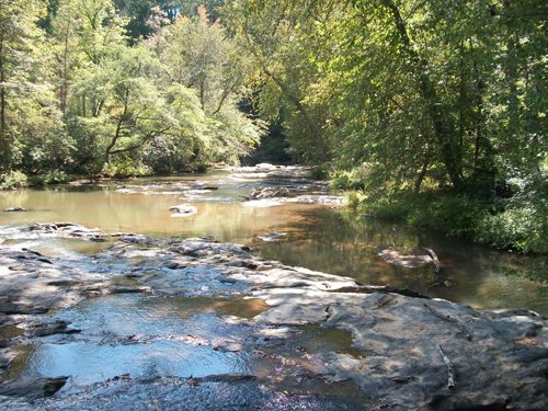 Property photo 8 - 1,575+/- Acres Offered in 23 Tracts
