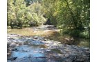 Property photo 8 - 1,575+/- Acres Offered in 23 Tracts