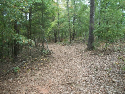 Property photo 19 - 1,575+/- Acres Offered in 23 Tracts
