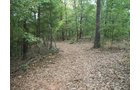 Property photo 19 - 1,575+/- Acres Offered in 23 Tracts