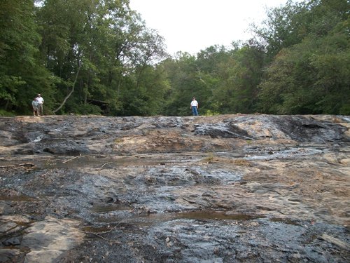 Property photo 6 - 1,575+/- Acres Offered in 23 Tracts