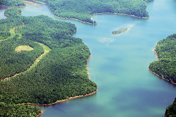 1,575+/- Acres Offered in 23 Tracts