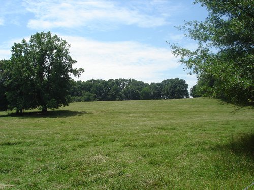 Property photo 12 - 1,575+/- Acres Offered in 23 Tracts