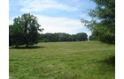 Property photo 12 - 1,575+/- Acres Offered in 23 Tracts