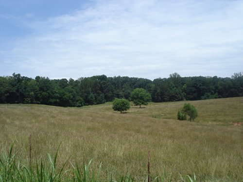 Property photo 5 - 1,575+/- Acres Offered in 23 Tracts