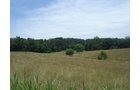Property photo 5 - 1,575+/- Acres Offered in 23 Tracts
