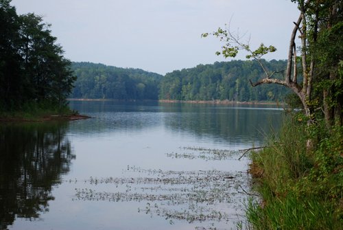 Property photo 9 - 1,575+/- Acres Offered in 23 Tracts