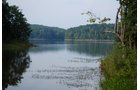 Property photo 9 - 1,575+/- Acres Offered in 23 Tracts
