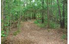 Property photo 23 - 1,575+/- Acres Offered in 23 Tracts