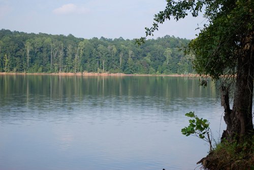 Property photo 16 - 1,575+/- Acres Offered in 23 Tracts