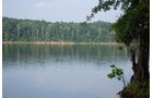 Property photo 16 - 1,575+/- Acres Offered in 23 Tracts